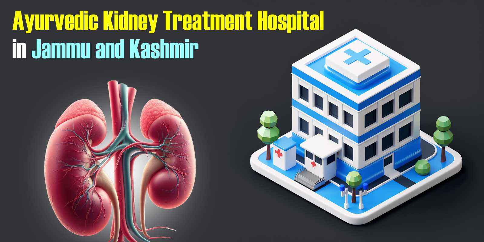 Ayurvedic Kidney Treatment Hospital in Jammu and Kashmir